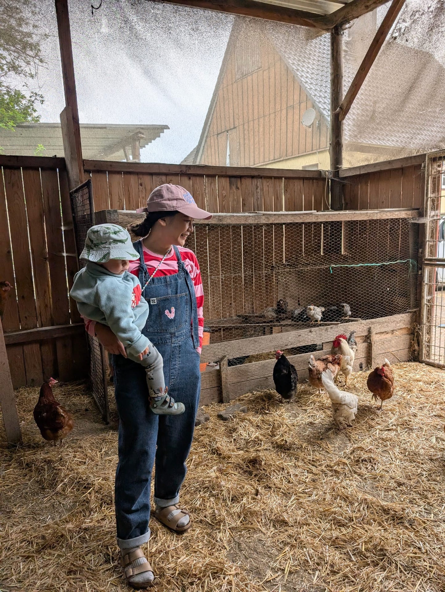 Pink Chicken Patch
